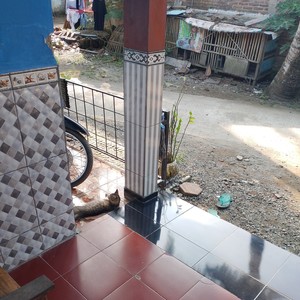 Gaul