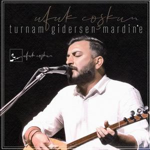 Turnam Gidersen Mardin'e