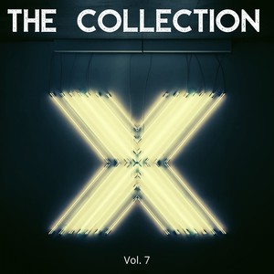 The Collection X (Vol. 7)