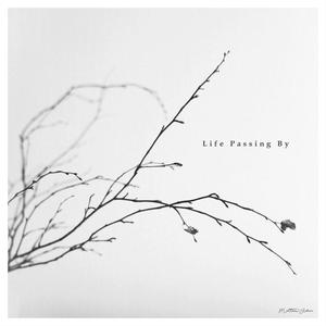 Life Passing By