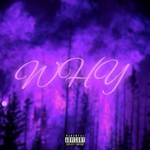 Не понимаешь (rmx|Explicit)