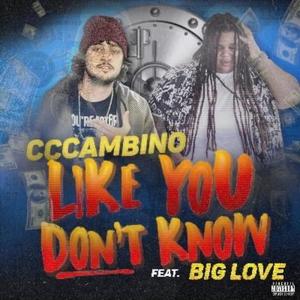 Like You Don't Know (feat. Big Love) (Explicit)