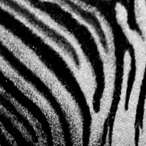 Tour Bus (feat. Gauche) (Explicit)