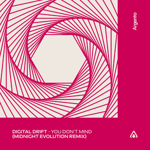 You Don't Mind (Midnight Evolution Remix)