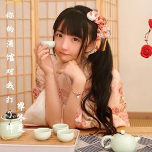 你的酒馆对我打了烊 (演唱会)
