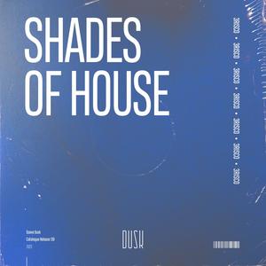 Shades of House (Extended Mix)