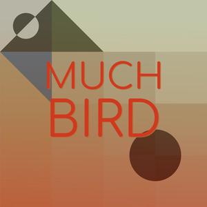 Much Bird