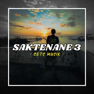 Saktenane 3