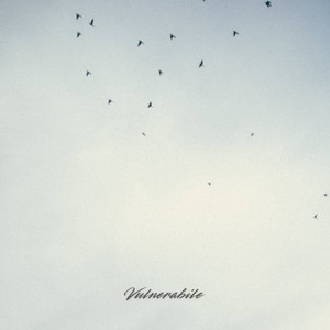 Vulnerabile