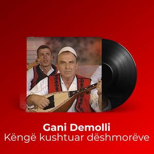 Këngë kushtuar dëshmorëve