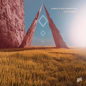 Our Moment(feat. Shyloom)