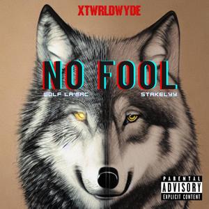 No Fool (feat. Stakelyy & xosloth) [Explicit]