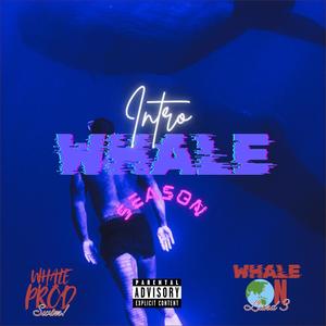 Whale Season (intro) [Explicit]