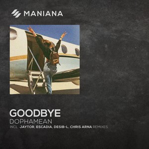 Goodbye (Desib-L Remix)