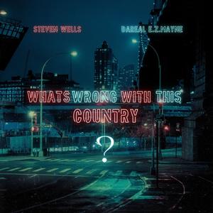 Whats Wrong With This Country (feat. Steven Wells Music)