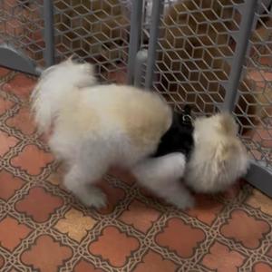 Words Don't Describe (Explicit)