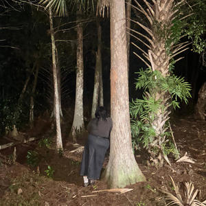 save me spring. save me forest.