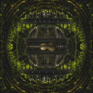 The Violin Song (Radio Edit)