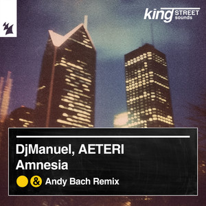 Amnesia (Incl. Andy Bach Remix)