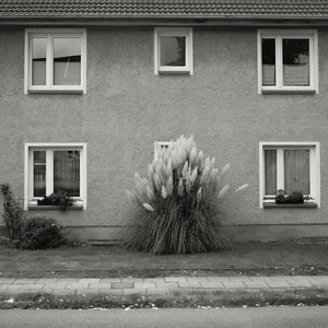 Timboletti - Helva Selva