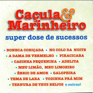 Super Dose De Sucessos