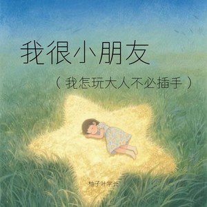 我很小朋友 (我怎玩大人不必插手)