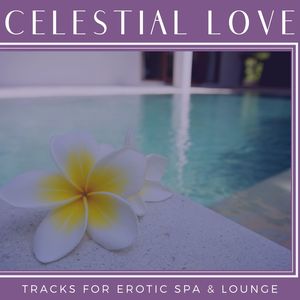 Celestial Love - Tracks For Erotic Spa & Lounge