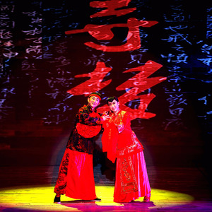 寻梦歌剧选段阳春暖三月 (Live)