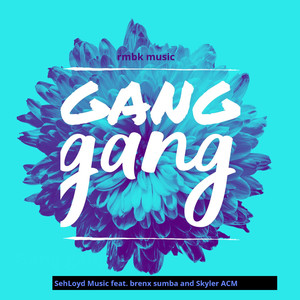 Gang Gang (feat. Skyler Acm, Brenx Sumba) (Explicit)