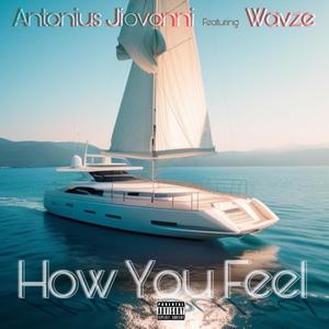 How You Feel (feat. Wavze) [Explicit]