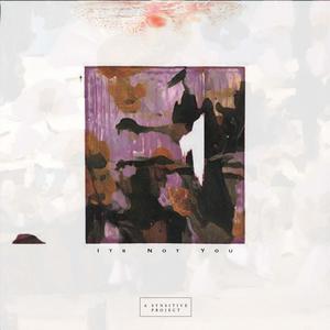 it's not you(feat. Damo FYE) (Explicit)