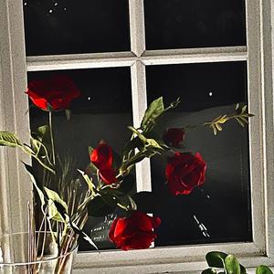 COLD WATER freestyle (Explicit)