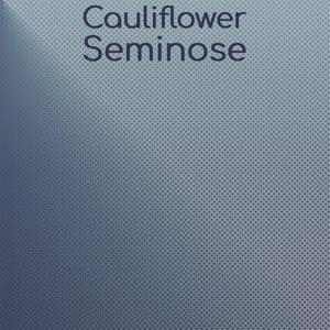 Cauliflower Seminose