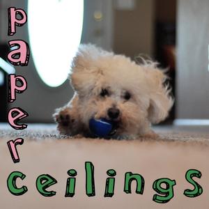 Paper Ceilings (Explicit)