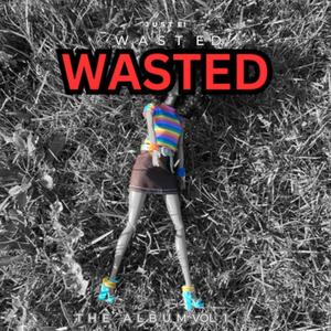 Wasted The Album, Vol. 1