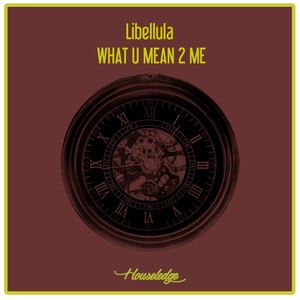 What U Mean 2 Me (Nu Ground Foundation Classic Edit)