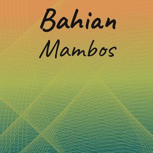 Bahian Mambos