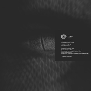 Screaming Internally (Black Mirror Park Remix)