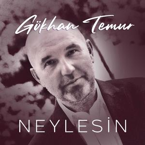 Neylesin