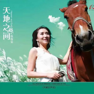 家乡 (DJ阿卓版)