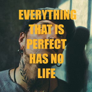 Everything That Is Perfect Has No Life