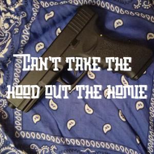 Cant take the hood out the homie (feat. DvlNøise) (Explicit)