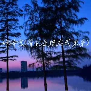 碎碎念(管它是现在或未来)