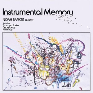 Instrumental Memory