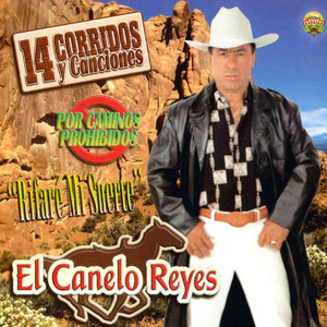 14 Corridos y Canciones