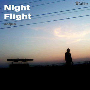 Night Flight