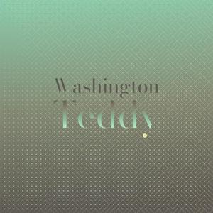 Washington Teddy