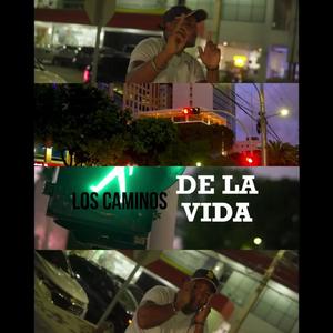 Los Caminos De La Vida
