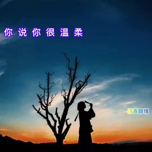 你说你很温柔