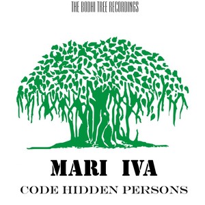 Code Hidden Persons